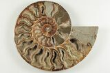 Cut & Polished, Agatized Ammonite Fossil - Madagascar #200147-2